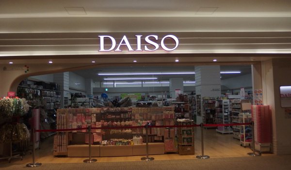 daisi01.jpg